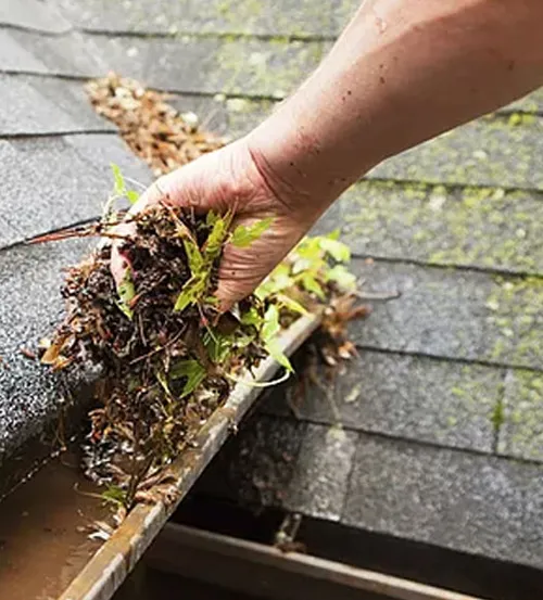 Hand removing wet leaves, mud, and debris from a residential roof gutter during seasonal maintenance