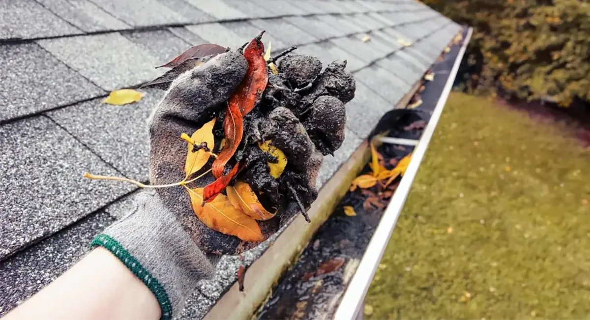 Worker removing wet leaves, mud, and debris by hand from a residential roof gutter during seasonal maintenance in the Twin Cities