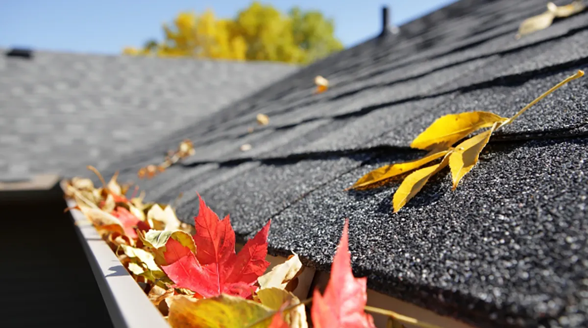 Residential roof gutter clogged with dry autumn leaves and debris needing cleaning