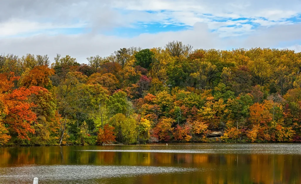 Scenic aerial view of Lake Minnetonka shoreline with vibrant autumn fall foliage colors