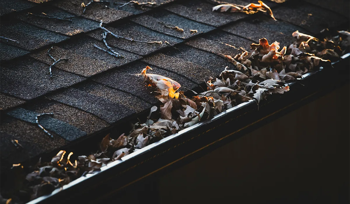 Professional gutter cleaning service clearing heavy autumn leaves and debris from a residential roof in the Twin Cities